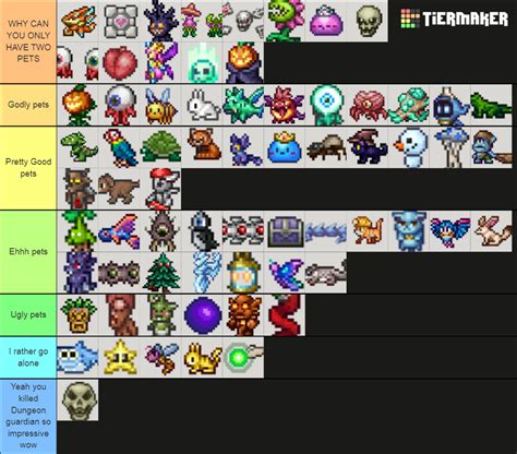 best pet in terraria|Terraria Best Light Pets (All Terraria Light Pets Ranked Worst to .